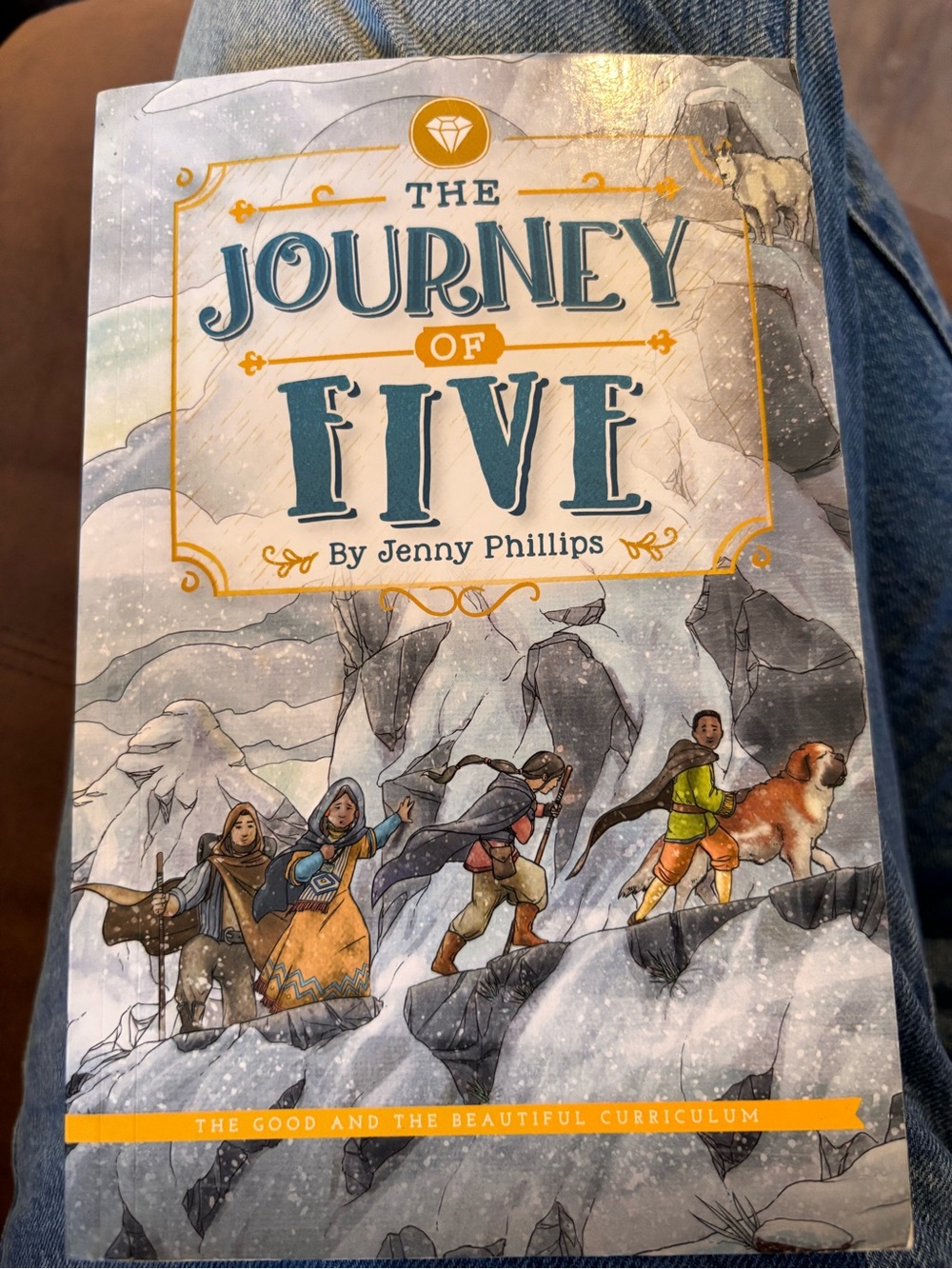 The Journey of Five by Jenny Phillips - Kids Book